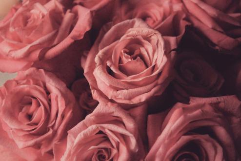 My Perimenopause Diaries