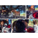 My Perimenopause Diaries: Healing with Horses