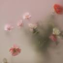 My Perimenopause Diaries: When “not right now” is medicine