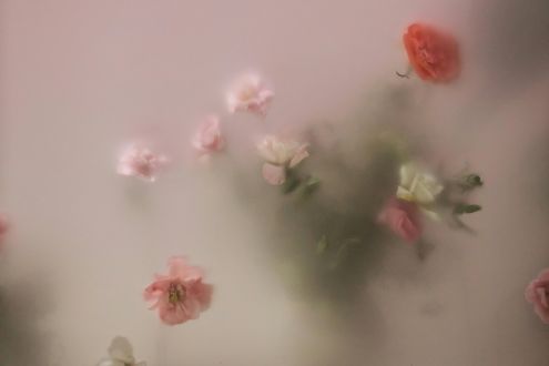 My Perimenopause Diaries: When “not right now” is medicine