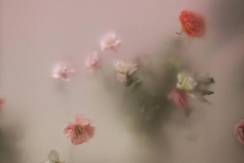 My Perimenopause Diaries: When “not right now” is medicine