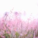 My Perimenopause Diaries: A Gentle Week of Integration