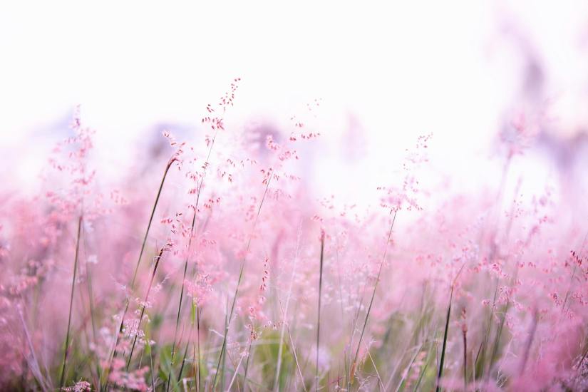 My Perimenopause Diaries: A Gentle Week of Integration