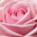 My Perimenopause Diaries: What a week as a nun taught me about Peri