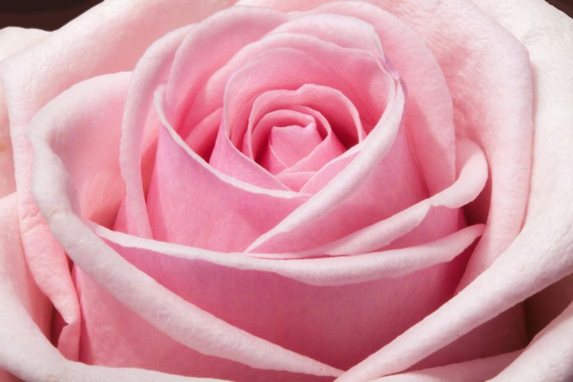 My Perimenopause Diaries: What a week as a nun taught me about Peri