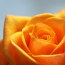 My Perimenopause Diaries: No more performing