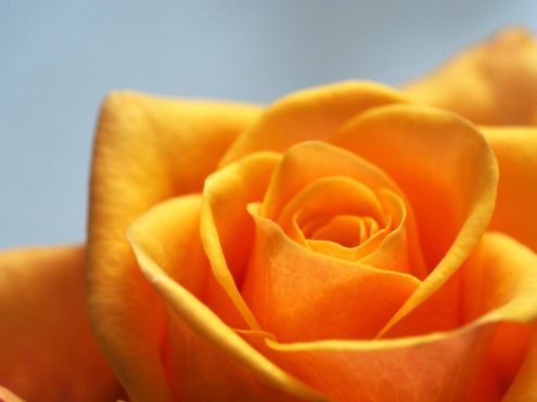 My Perimenopause Diaries:  No more performing
