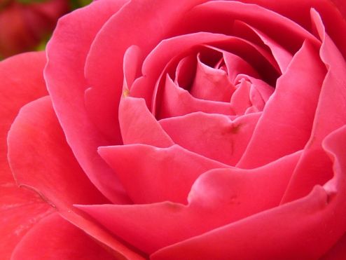 My Perimenopause Diaries: I don’t want to conquer the world anymore