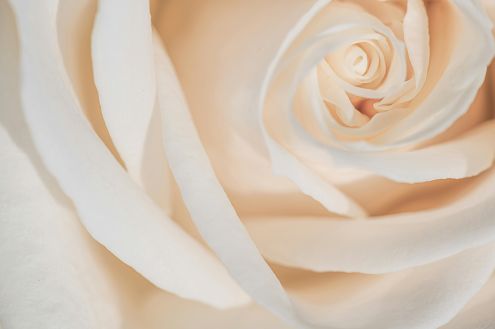 My Perimenopause Diaries:  When words won’t come