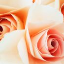 My Perimenopause Diaries: When Others Don’t Understand