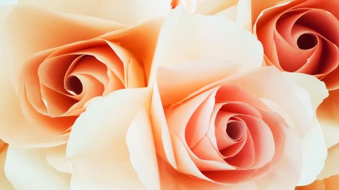 My Perimenopause Diaries: When Others Don’t Understand