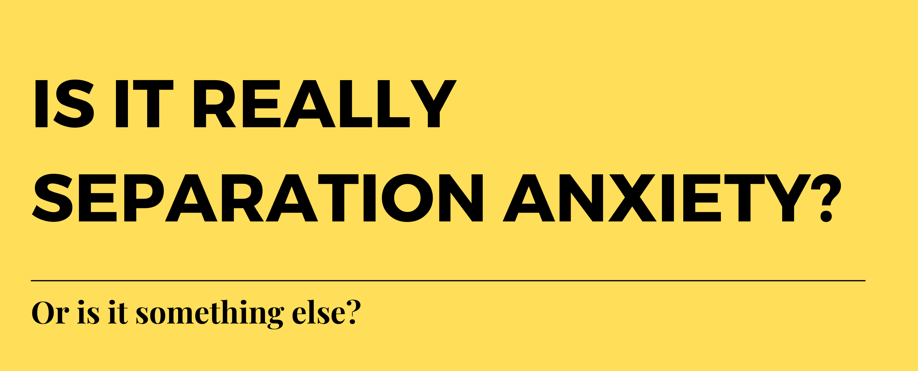 Is it really separation anxiety? Or is it something else?