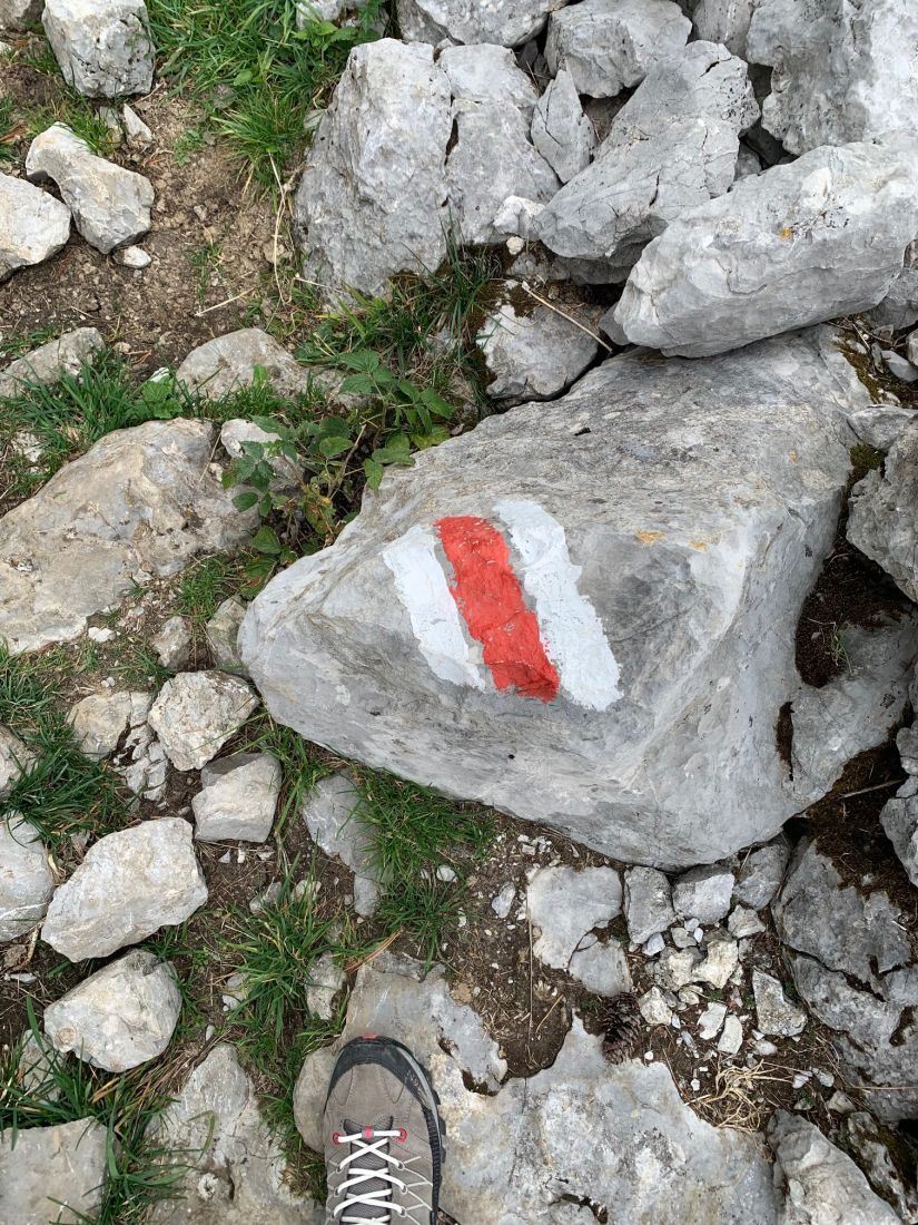 🥾 The Trail Markers of Life – The Wild Way