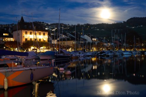 Shine Like the Moon: Reclaiming the Rhythm of Your Light