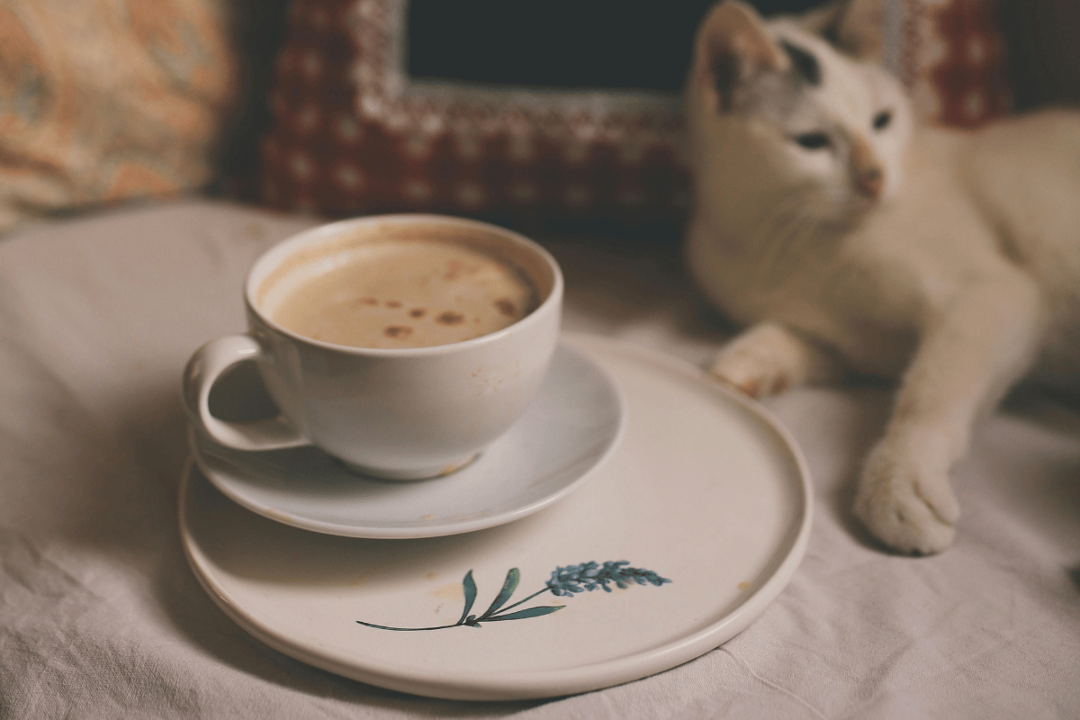 Make yourself at home in your voice