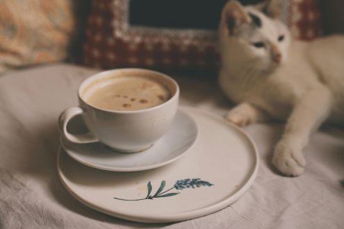 Make yourself at home in your voice