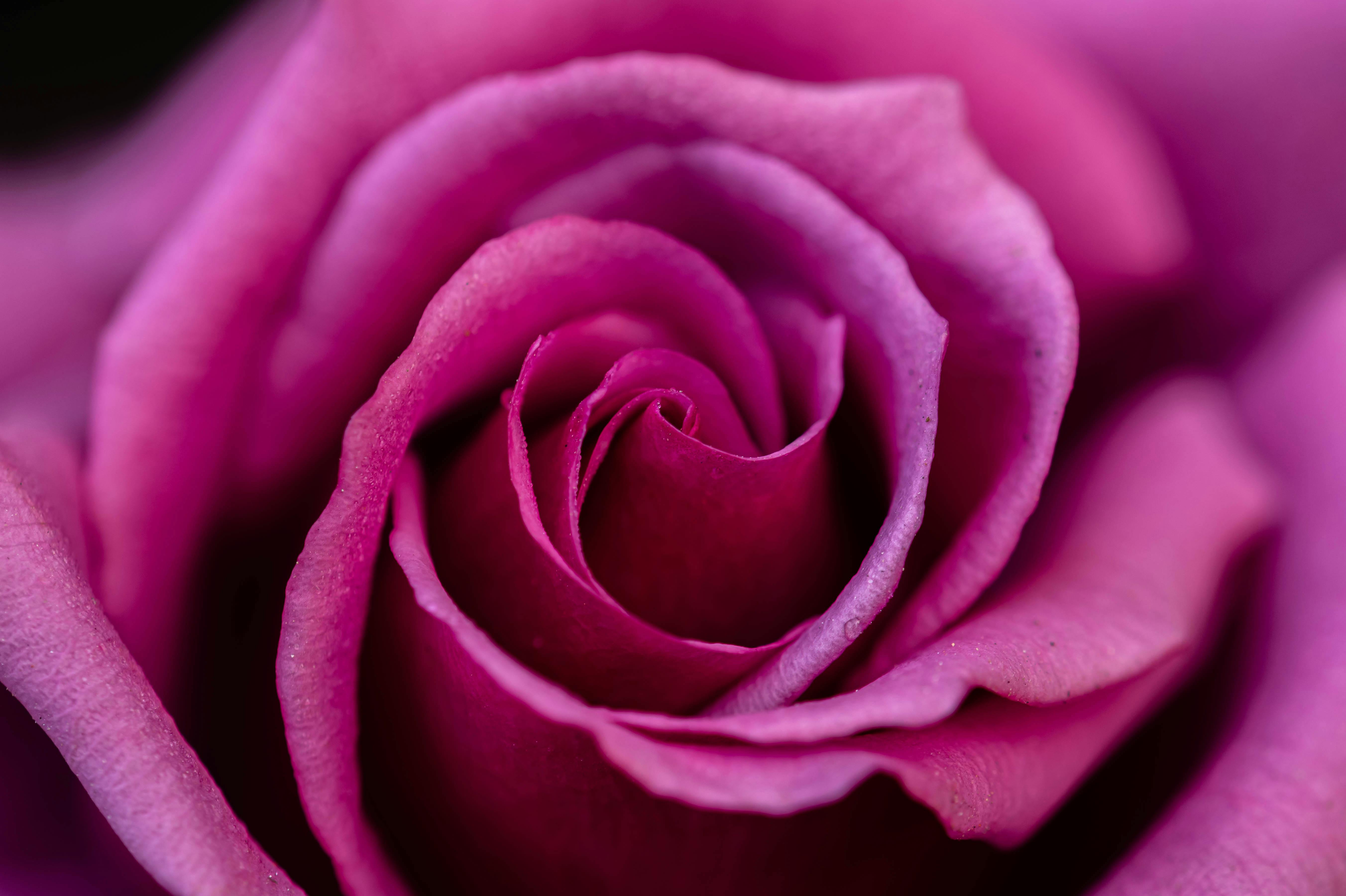 My Perimenopause Diaries: When midlife becomes medicine