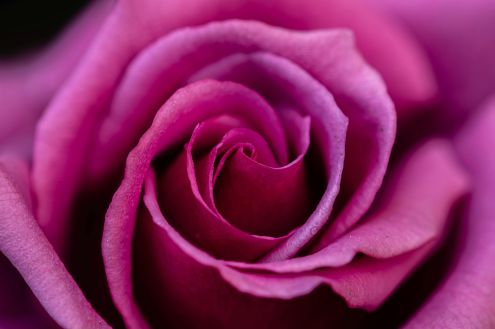 My Perimenopause Diaries: When midlife becomes medicine