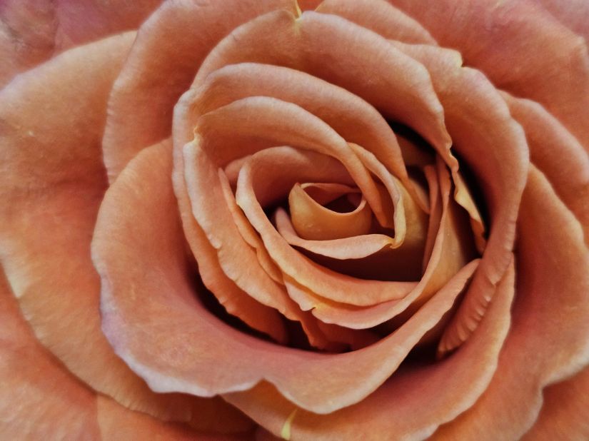 My Perimenopause Diaries: The guide I didn’t see coming