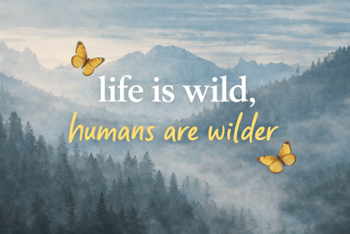 When misunderstanding becomes an invitation