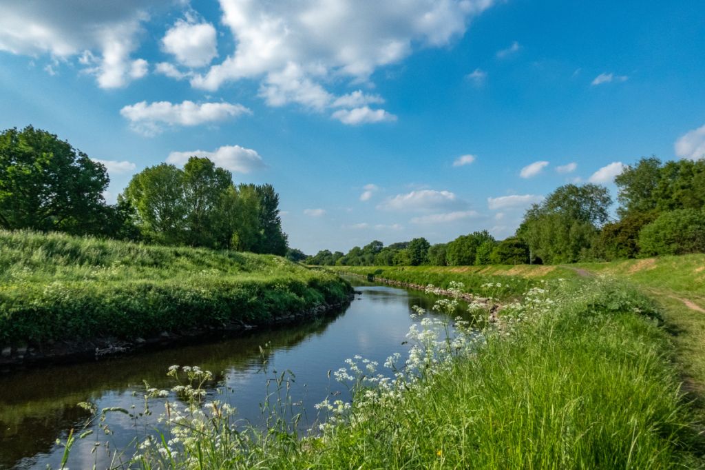 beautiful calming landscape with a river flowing through a meadow and wildflowers