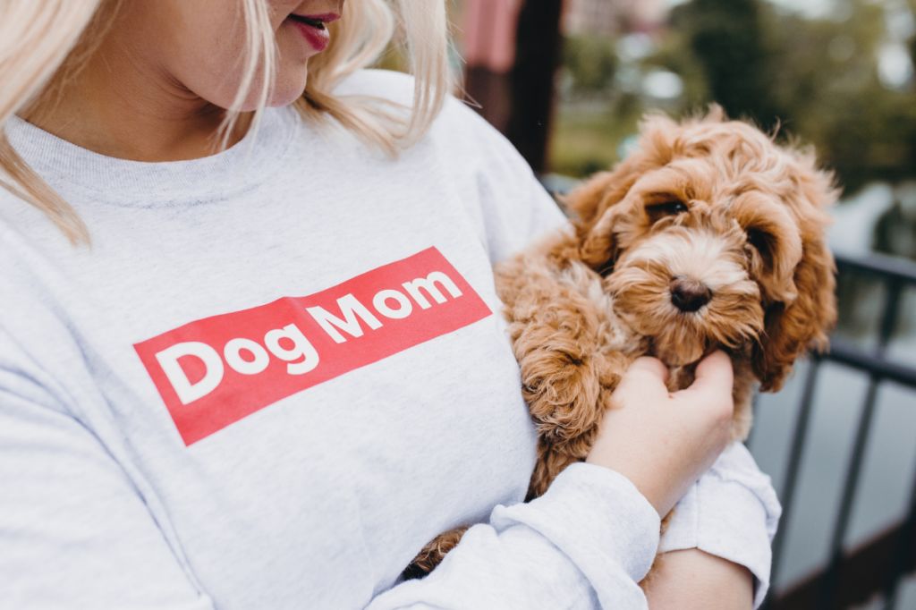 woman wears 'dog mum' t-shirt while cuddling gorgeous cockapoo pup
