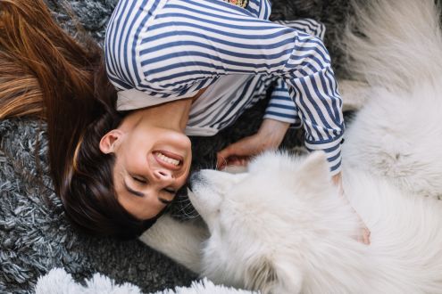 What really happens to our brains when we bond with dogs?