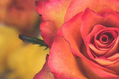 My Perimenopause Diaries: When I stopped waiting to be seen
