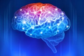 Is there really a ‘psychopath brain’? What neuroscience reveals about psychopathy