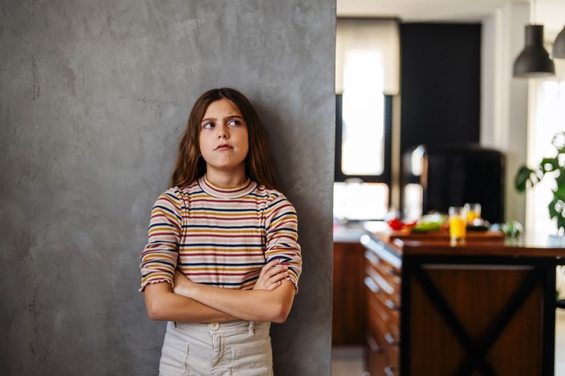 Does narcissism start in childhood? The childhood origins of personality disorders
