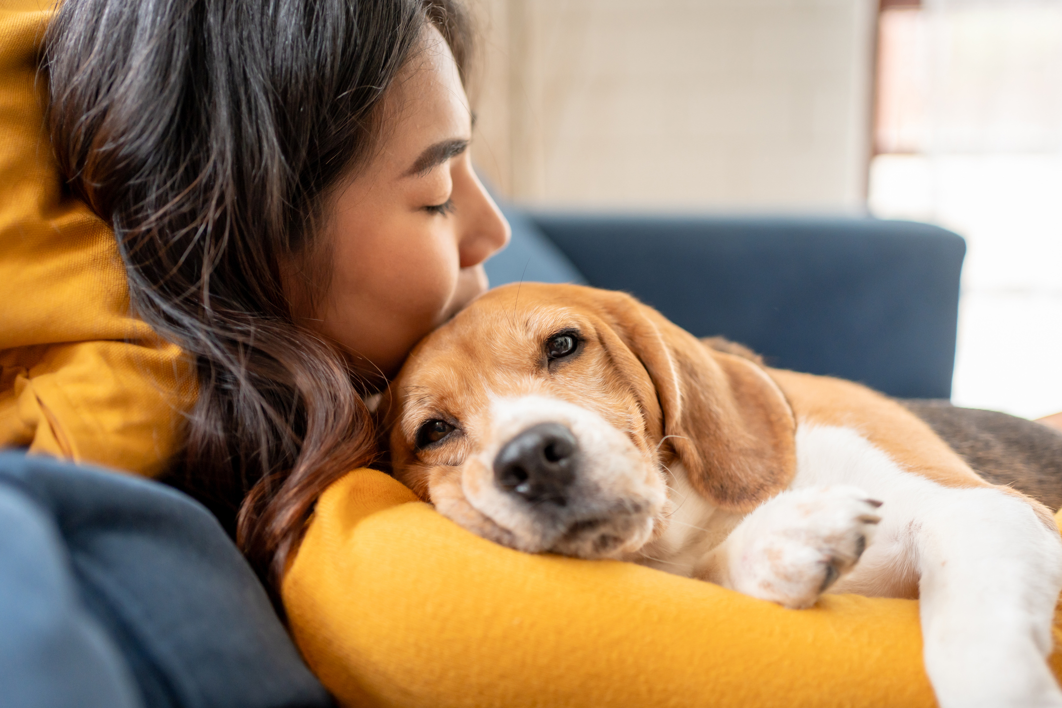 The secret language between you and your dog: how they may know when you are feeling unwell