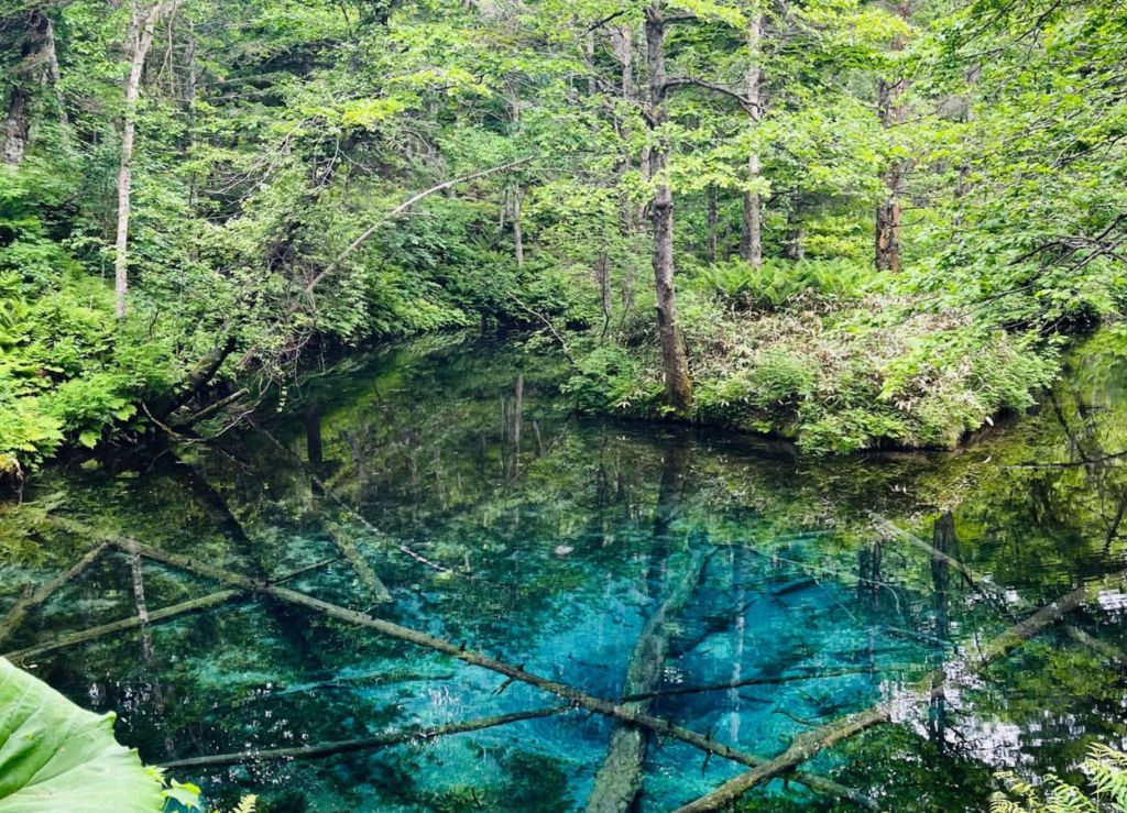 Japan's remote Hokkaido