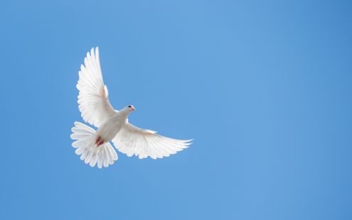 How to be truly free