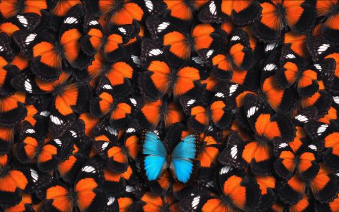 I’m still trying to figure out who the real me is