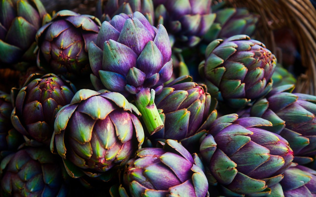 Gut health: the benefits of artichokes