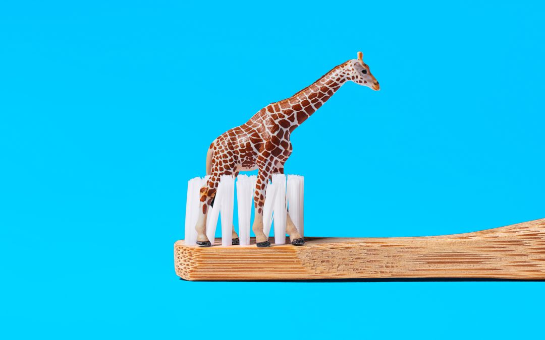 Subscription start-up encourages the UK to brush up on its oral hygiene