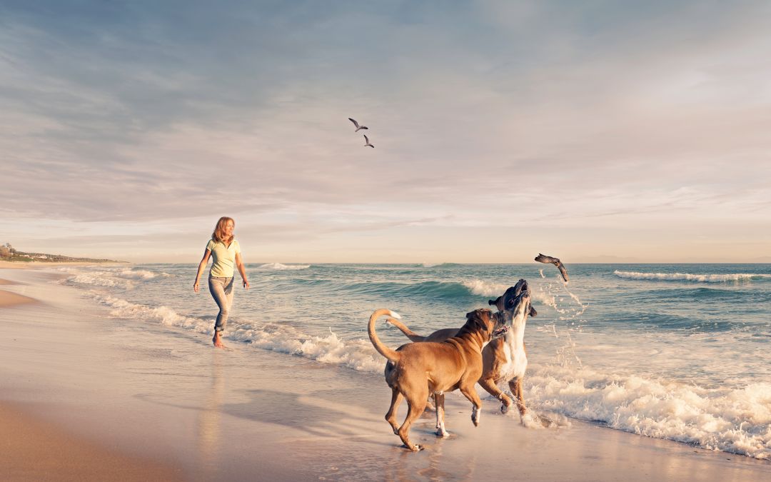 I need to move forward with my life