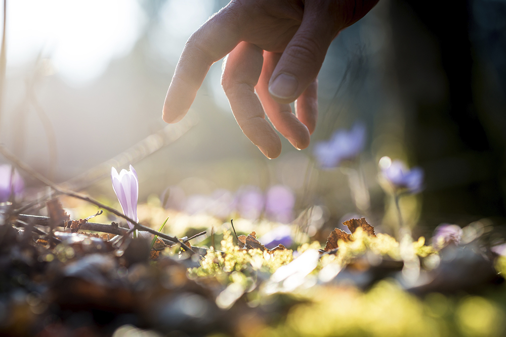 Test: How kind are you?